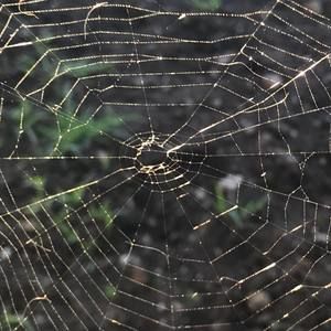 Meet your Posher, Katina